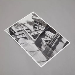 AGI新星閃耀南半球 2019年澳大利亞新晉會(huì)員平面設(shè)計(jì)師風(fēng)采